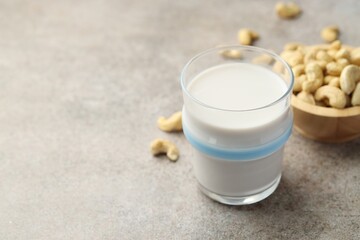 Fresh cashew milk in glass and nuts on grey textured table, closeup. Space for text