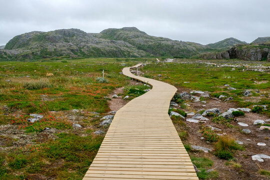 A Wooden Pathway Leads Through the Tundra Landscape of the Arctic