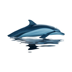 Obraz premium Dolphin Illustration on Transparent Background