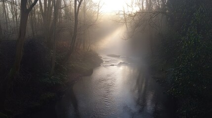 Obraz premium Misty River at Dawn: Sunbeams Through the Woods