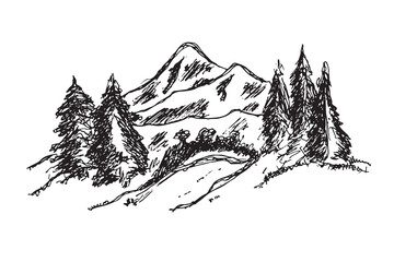 Vector hand drawn mountain sketch, wild nature, nature illustration. white and black illustration.