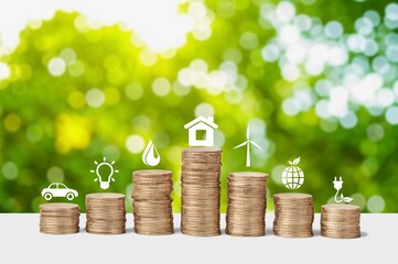 Eco-friendly house concept, coins and icons