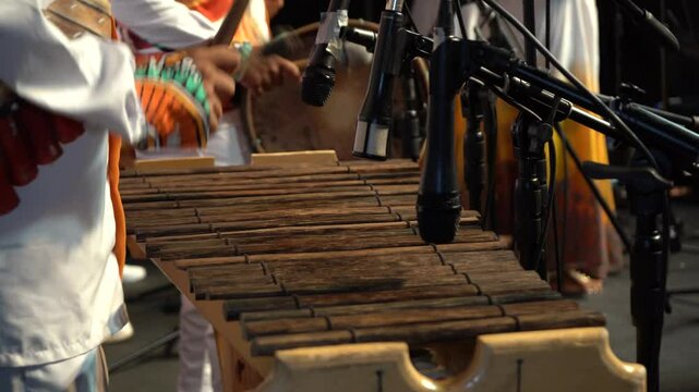 Marimba del pac&iacute;fico colombiano	
