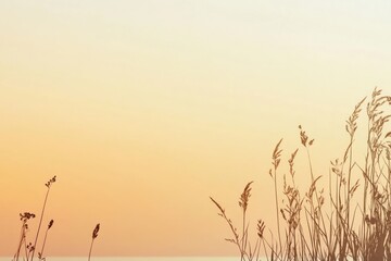 A serene landscape at sunset with silhouettes of tall grass against a gradient sky.