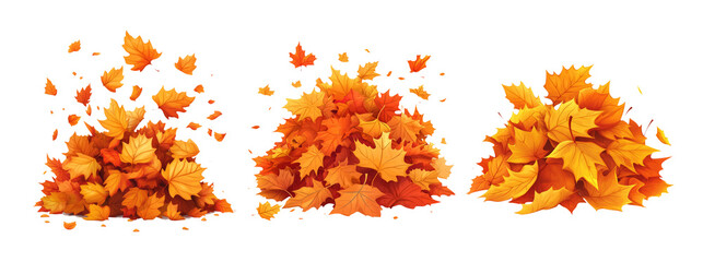 Vibrant Autumn Leaves Pile on Transparent Background