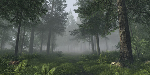 Obraz premium A misty morning in a dense forest, where fog lingers among the tall trees. The ground is covered with thick ferns and mushrooms, and the quiet is broken only by the occasional rustling of leaves.