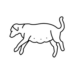 Obraz premium pregnant dog line icon vector. pregnant dog sign. isolated contour symbol black illustration