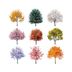 Fototapeta premium Colorful Trees Isolated on Transparent Background