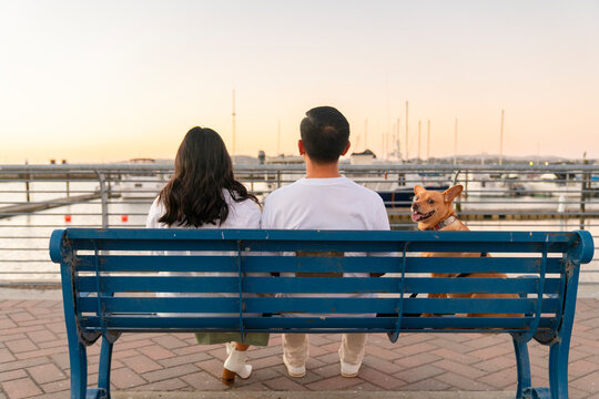 Anonymous couple with dog 