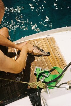 Man dissects a fish on the stern of a boat