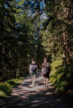 Anonymous friends hiking in the forest