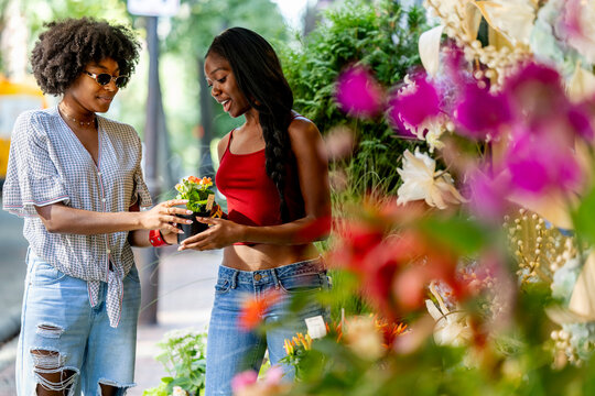 Teen Black Frien portrait  in City of Boston buying houseplant