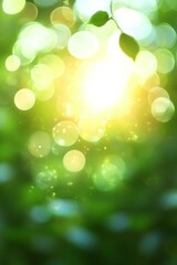 Fototapeta premium Bokeh Effect Green Foliage Background with Sunlight and Blue Sky