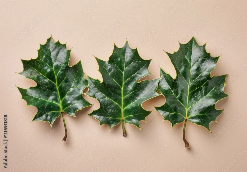 Poster three vibrant green maple leaves arranged symmetrically on a soft beige background, showcasing their