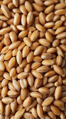 Wheat grain close-up, symbolizing food security and staple crops
