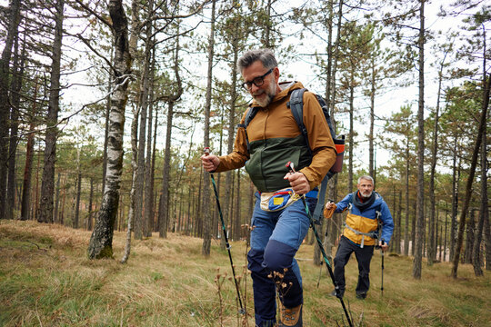 Men trekking through the forest