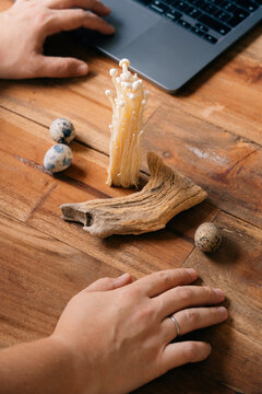 Hands Working on a Laptop with Still Life Composition on the Table