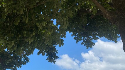 Naklejka premium 하늘풍경