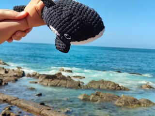 orca de peluche