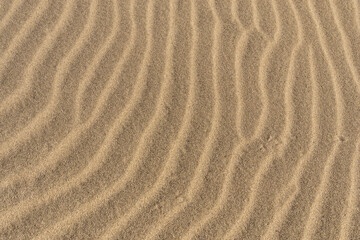 Desert Sand Ripples Background