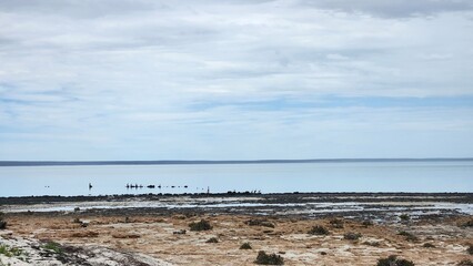 Hamelin Pool in Western Australia