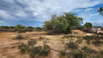 Hamelin Pool in Western Australia