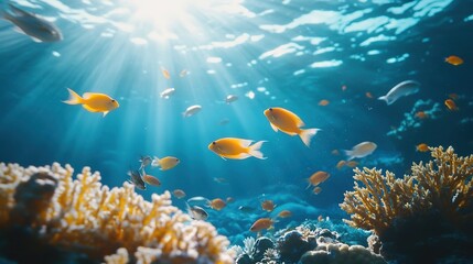 Obraz premium Fish swimming in a coral reef habitat