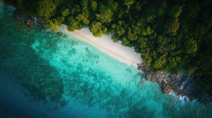 Secluded Tropical Beach Aerial View Lush Green Foliage