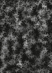 black and white background