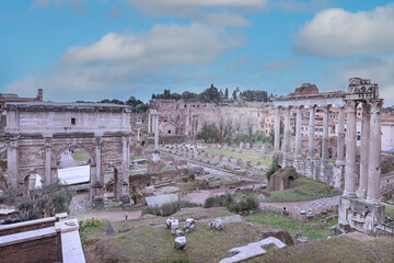 The Roman Forum or Foro Romano, with the ruins of ancient Roman Empire government buildings, as the...