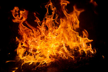 Fototapeta premium Fire flame texture. Blaze flames background. Burning fire backdrop. Flame of fire. Fire background. Flame texture.