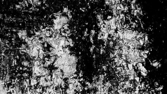 BW outdoor landscape material grunge background Abstract grainy texture grunge background 4K camera shutter slide effect transition video. backdrop loop animation, bark grain concrete cement paddy 