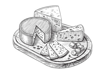 Cheese engraving vector illustration
