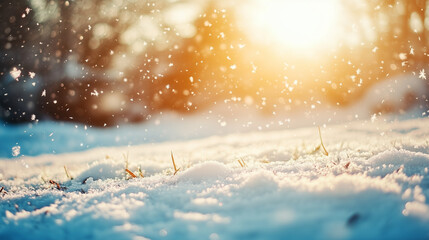 Fototapeta premium Serene Winter Snowscape Under Sunlight