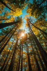 Green Wilderness Nature Depicting a Lush Forest Scene With sunshine and river ai generated