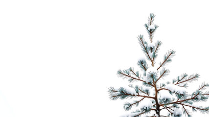 Winter background with falling snow on pine tree branches creates serene and spacious layout for promotional text or marketing content, evoking beauty of winter
