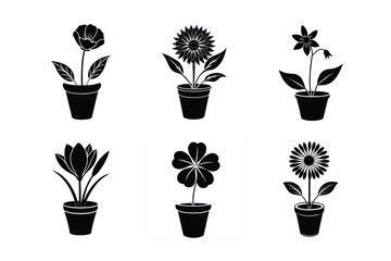 6 difference follower  with Leaves in Pot silhouette vector art