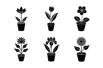 6 difference follower  with Leaves in Pot silhouette vector art