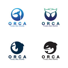 Killer whale Orca logo design vector illustration