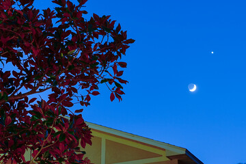 new moon and Venus shining above a house and tree during sun set 