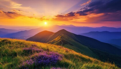 Fototapeta premium A breathtaking sunset over rolling hills adorned with blooming flowers.