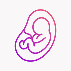 EMBRYO