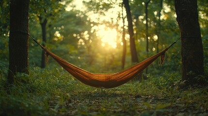 Obraz premium Relaxing hammock tied between trees in a lush green forest with golden sunlight streaming through the leaves during sunset.