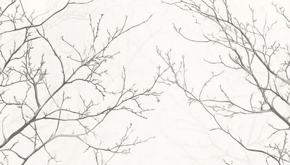 Obraz premium Minimalist background for creative design
