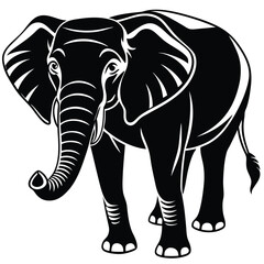 elephant isolated on white background