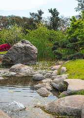 river with rocks, grass, plants and a tree in argentina, south america, 