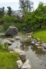 river with rocks, grass, plants and a tree in buenos aires, argentina