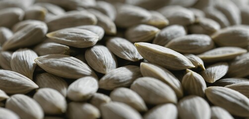 Close-up of sunflower seeds with softly blurred petals