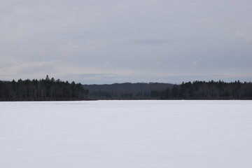 Winter Lake