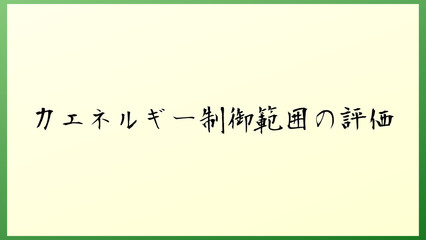 力エネルギー制御範囲の評価 の和風イラスト